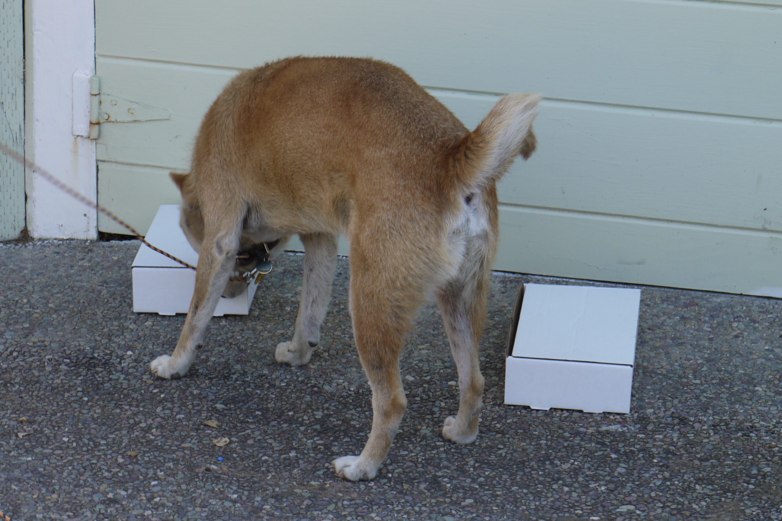 Take at ORT box<br />
